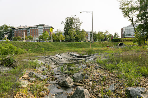 Stream Restoration project by Facilities runs from Patriot Circle/Aquia Creek Lane to Mason Pond. Photo by Cristian Torres.